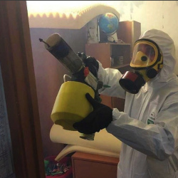 Уничтожение клопов в квартире. Томмот